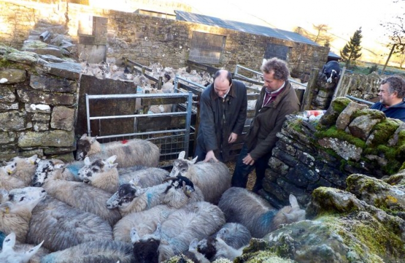 Richard Holden visits a farm during the election campaign